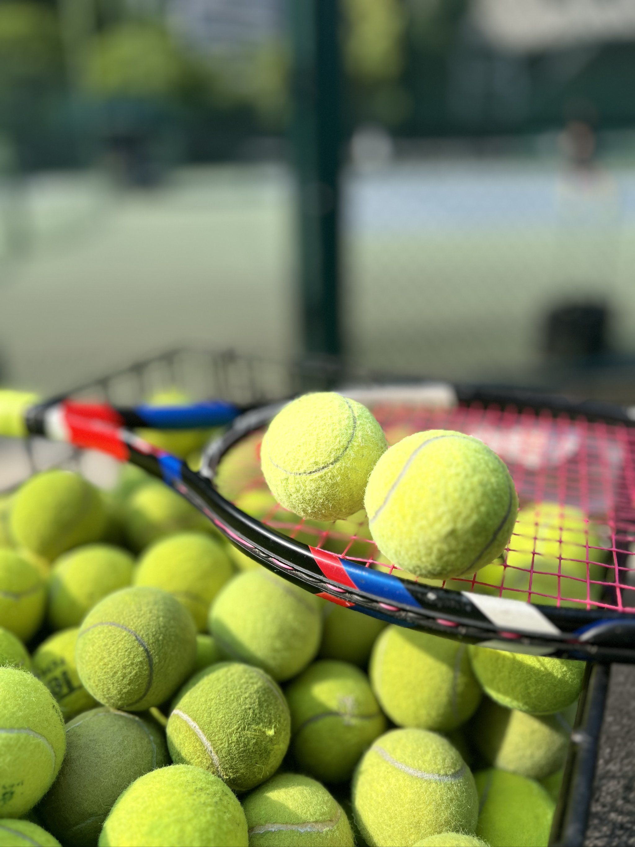 们成功的背 们成功的背